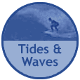 Tide and Wave Information